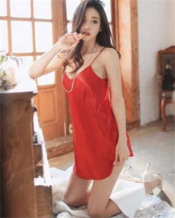 主角家养猴子类小说