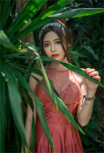 暖婚一百分总裁清点宠
