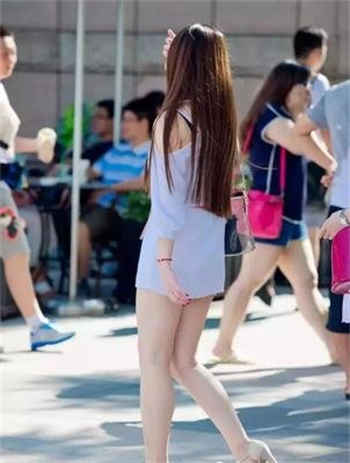 新农夫在线导航