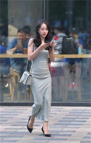 为什么磁力蚂蚁用不了了