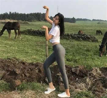 广东悦来香qm新域名